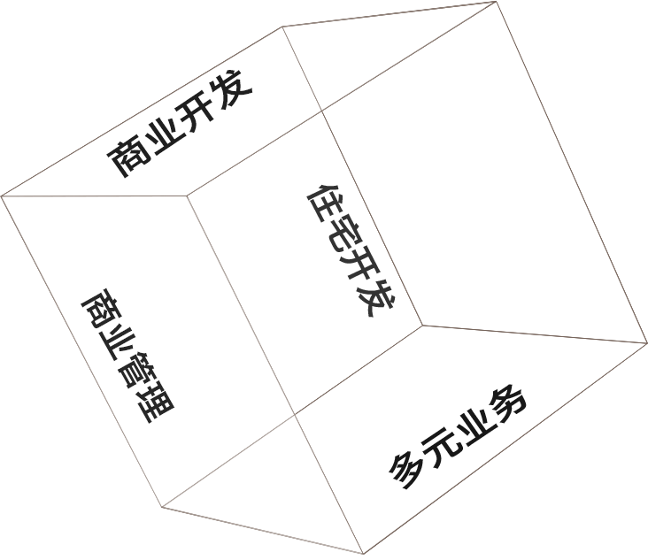 住宅開發(fā),商業(yè)開發(fā),商業(yè)管理,多元業(yè)務